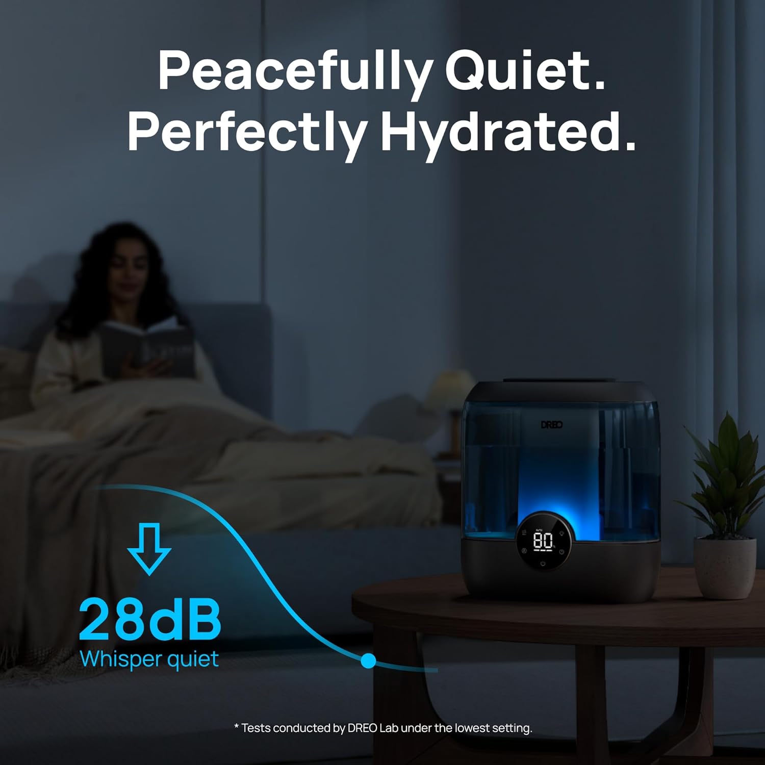 Humidifier HM524 6L