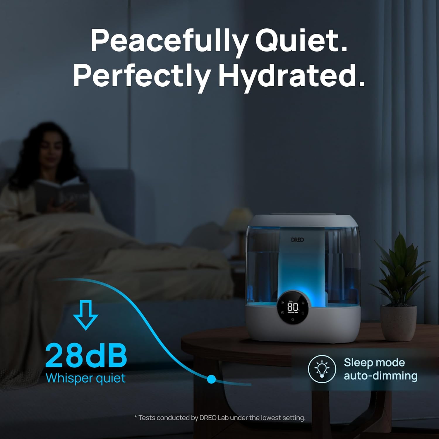 Humidifier HM524 6L