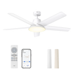 Smart Ceiling Fan CLF521S