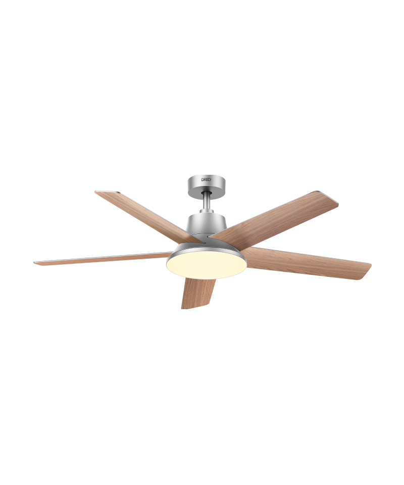 Ceiling Fans